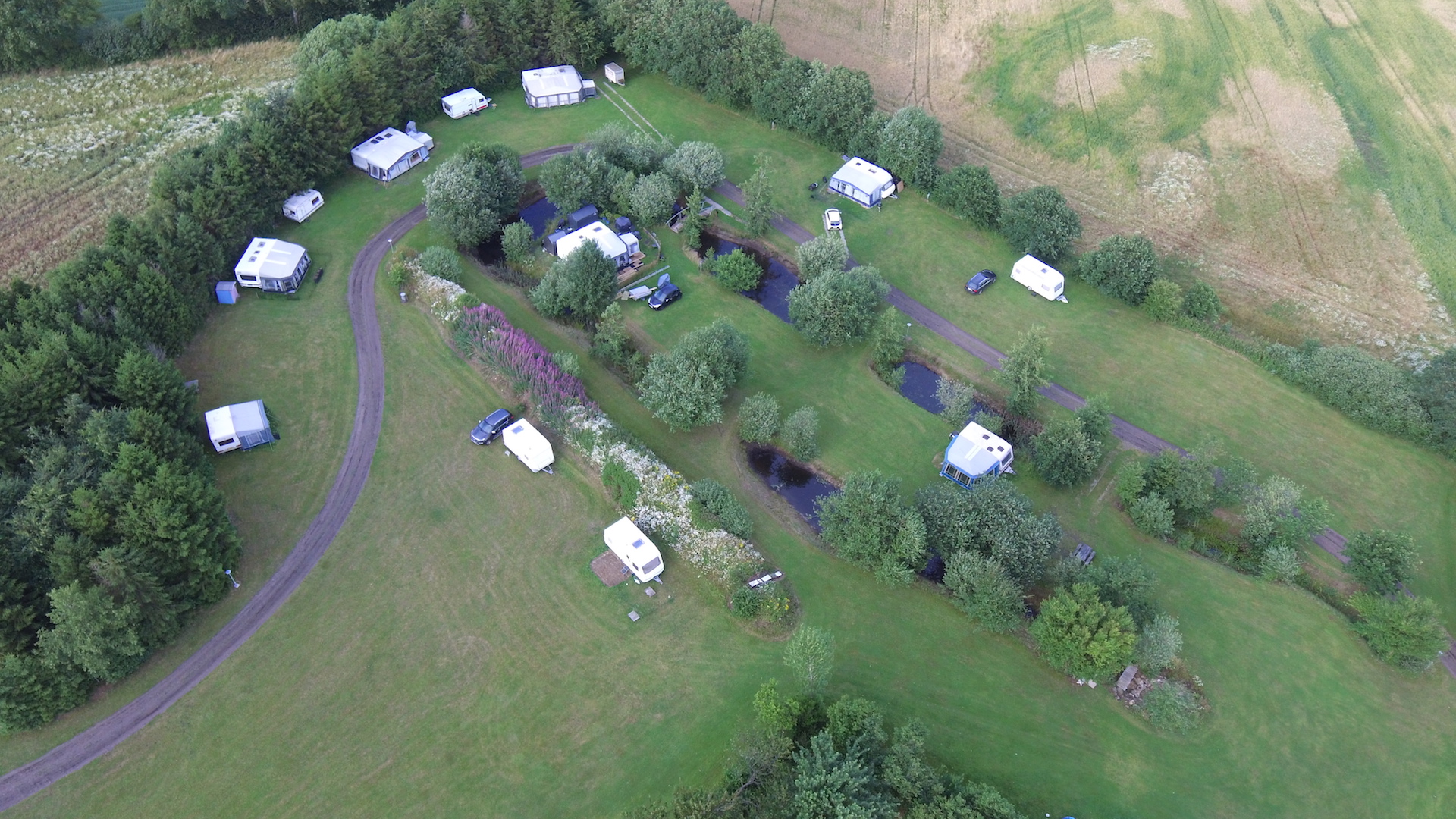 Camping Gesten — photo 3